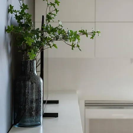 Lejlighed Lux 1- With Garage And Balcony